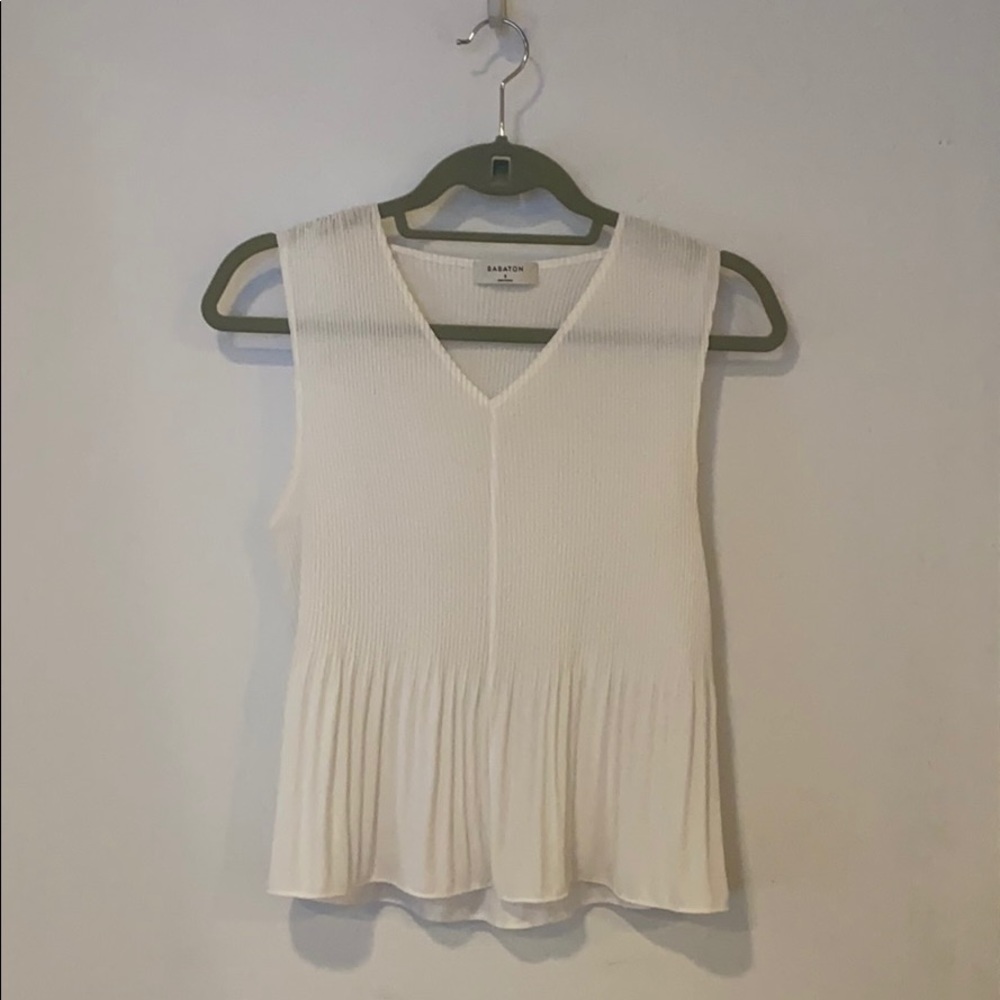 Babaton Tank (from Aritzia)